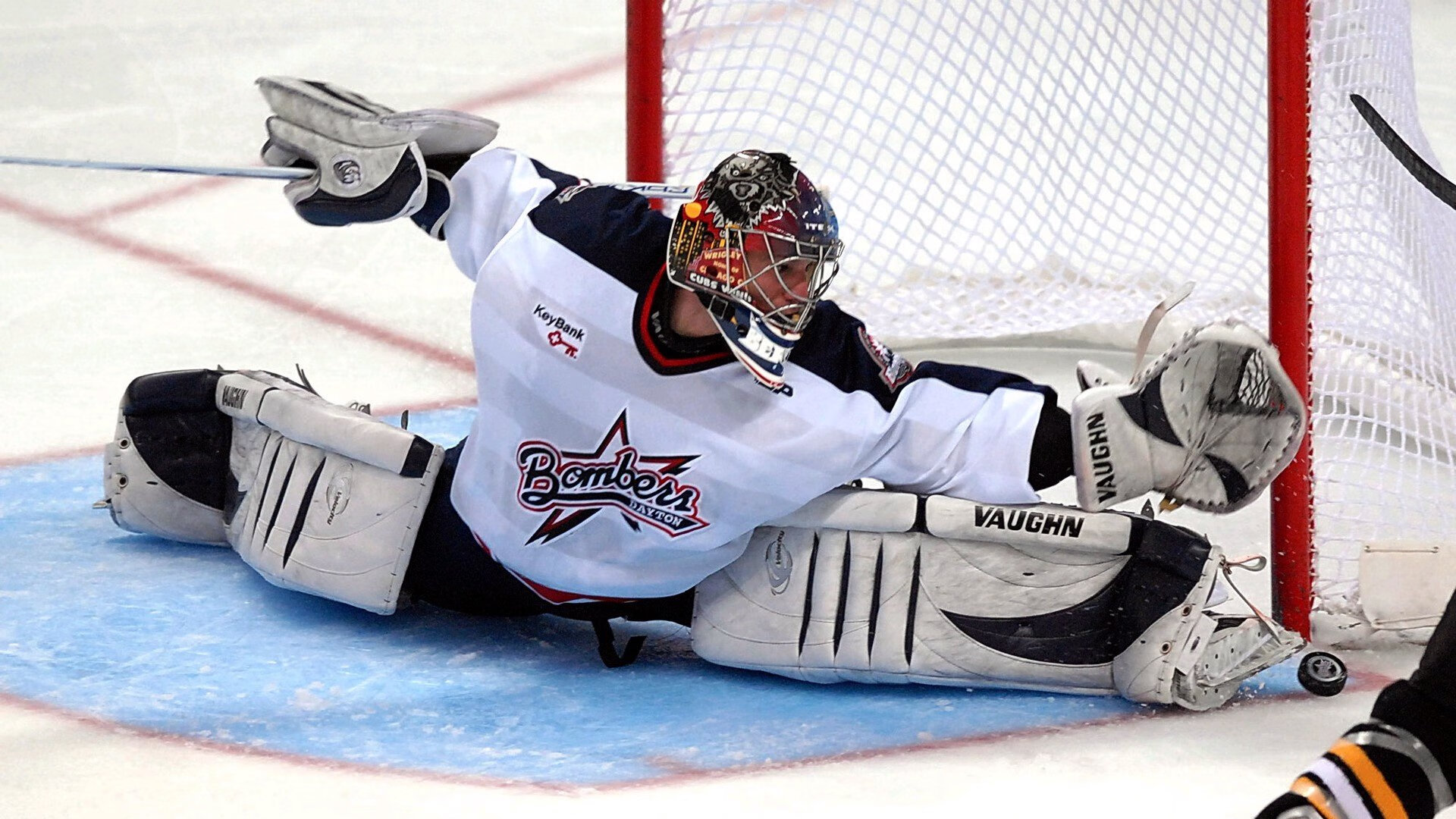 联盟观察:哪些球队正在迎来新的崛起?,全新球队