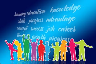 开云网站-中国篮球职业联赛品牌战略及市场推广研究，中国的职业篮球联赛