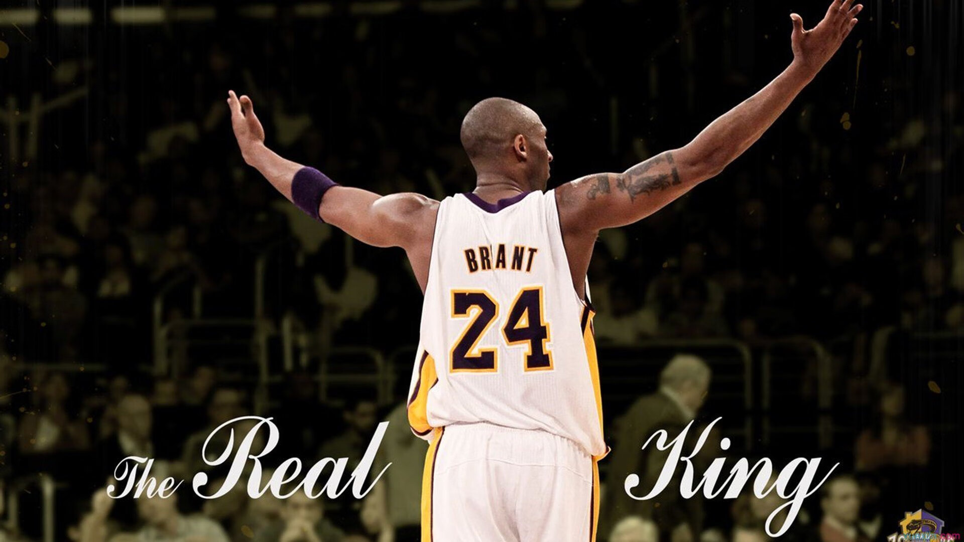 丹·卡特：全黑队进攻体系中的核心人物，丹特巅峰水平